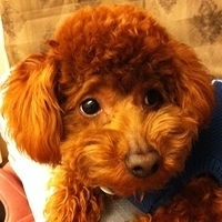Kirby.2011.02.23-006.jpg