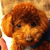 Kirby.2011.02.23-007.jpg