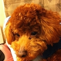 Kirby.2011.02.23-008.jpg