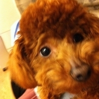 Kirby.2011.02.23-009.jpg