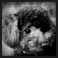 Kirby.2011.02.23-011.jpg