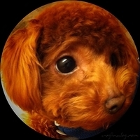Kirby.2011.02.23-012.jpg