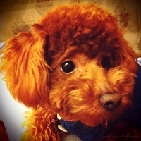 Kirby.2011.02.23-013.jpg