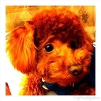 Kirby.2011.02.23-014.jpg