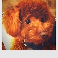 Kirby.2011.02.23-015.jpg