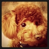 Kirby.2011.02.23-016.jpg