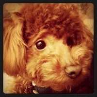 Kirby.2011.02.23-017.jpg