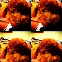 Kirby.2011.02.23-018.jpg