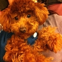Kirby.2011.02.23-019.jpg