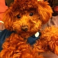 Kirby.2011.02.23-020.jpg