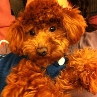 Kirby.2011.02.23-021.jpg