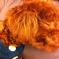 Kirby.2011.02.23-022.jpg
