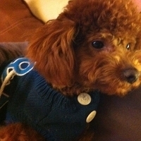Kirby.2011.02.24-001.jpg