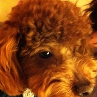 Kirby.2011.02.24-002.jpg