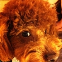 Kirby.2011.02.24-003.jpg