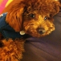 Kirby.2011.02.24-005.jpg