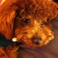 Kirby.2011.02.24-006.jpg