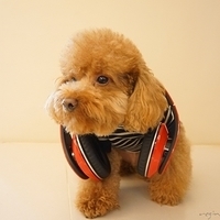 Kirby.2013.02.01-001.JPG