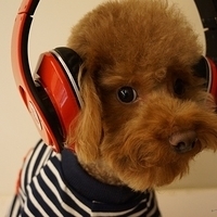 Kirby.2013.02.01-004.JPG