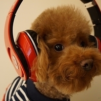 Kirby.2013.02.01-005.JPG