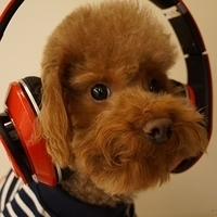 Kirby.2013.02.01-006.JPG