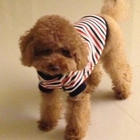 Kirby.2013.02.12-002.JPG