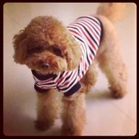 Kirby.2013.02.12-003.JPG
