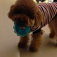 Kirby.2013.02.12-006.JPG
