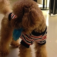Kirby.2013.02.12-008.JPG