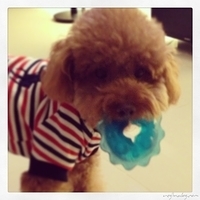 Kirby.2013.02.12-013.JPG