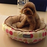 Kirby.2013.02.21-001.JPG