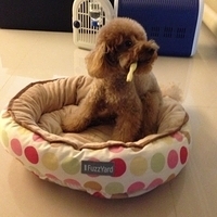 Kirby.2013.02.21-002.JPG