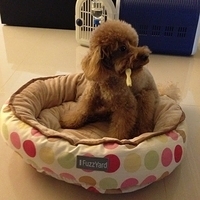 Kirby.2013.02.21-003.JPG