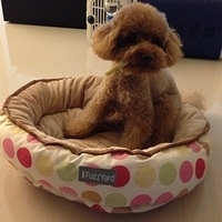 Kirby.2013.02.21-004.JPG