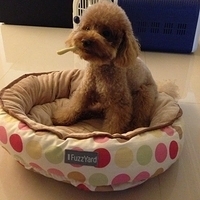 Kirby.2013.02.21-005.JPG