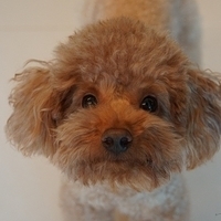 Kirby.2013.02.24-001.JPG