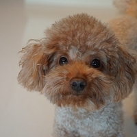 Kirby.2013.02.24-002.JPG