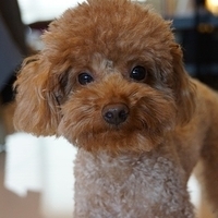 Kirby.2013.02.24-003.JPG