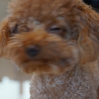 Kirby.2013.02.24-004.JPG
