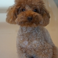 Kirby.2013.02.24-005.JPG