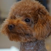 Kirby.2013.02.24-006.JPG
