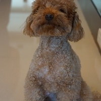 Kirby.2013.02.24-008.JPG