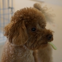 Kirby.2013.02.24-010.JPG