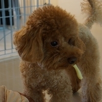 Kirby.2013.02.24-012.JPG
