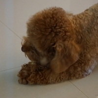 Kirby.2013.02.24-014.JPG