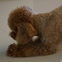 Kirby.2013.02.24-015.JPG