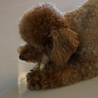 Kirby.2013.02.24-016.JPG