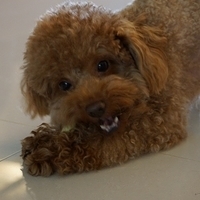 Kirby.2013.02.24-017.JPG