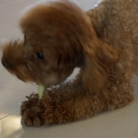 Kirby.2013.02.24-018.JPG