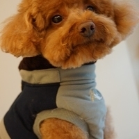 Kirby.2014.02.08-003.JPG